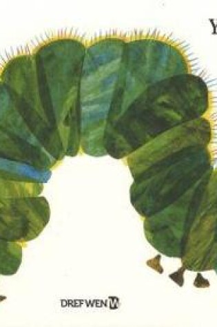 Cover of Lindysyn Llwglyd Iawn, Y / Very Hungry Caterpillar, The