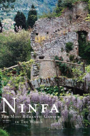 Cover of Ninfa