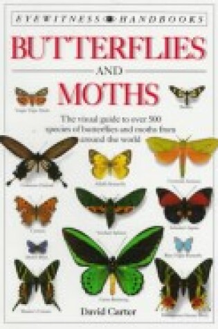 Cover of Butterflies & Moths