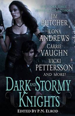 Book cover for Dark and Stormy Knights