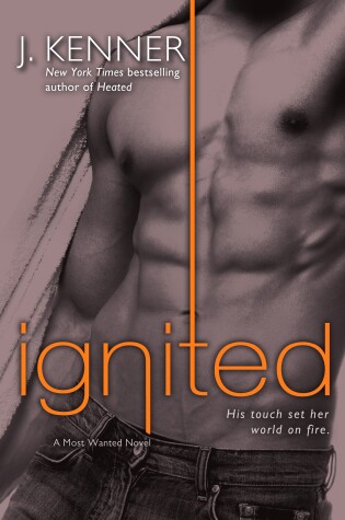 Cover of Ignited