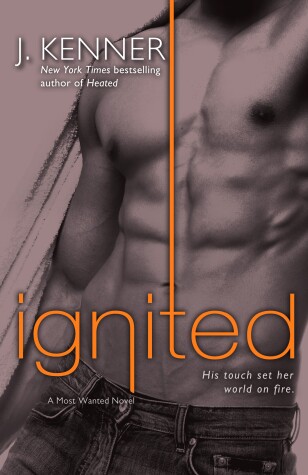 Book cover for Ignited