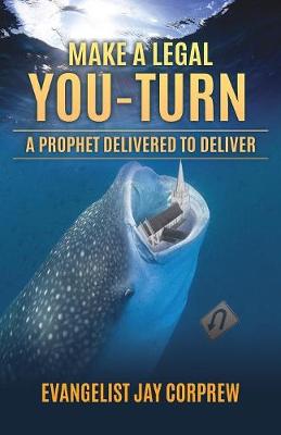 Book cover for Make a legal YOU-Turn