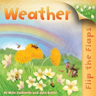 Cover of Flip the Flaps: Weather