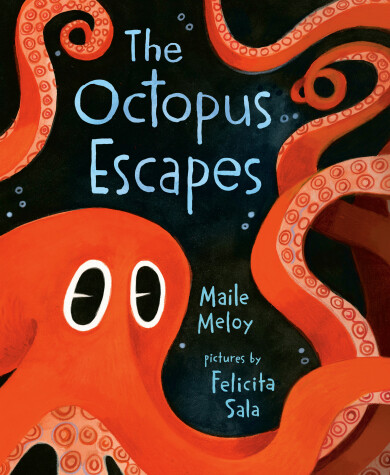 Book cover for The Octopus Escapes