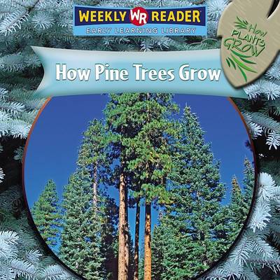 Book cover for How Pine Trees Grow