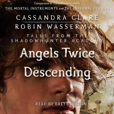 Book cover for Angels Twice Descending