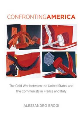 Book cover for Confronting America