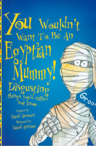 Cover of An Egyptian Mummy