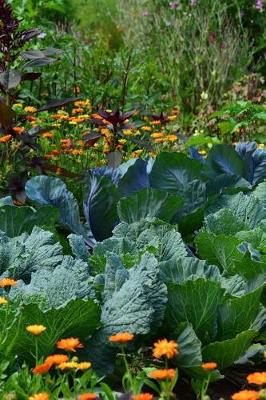 Book cover for Marigolds and Cabbages in the Garden Country Cottage Journal