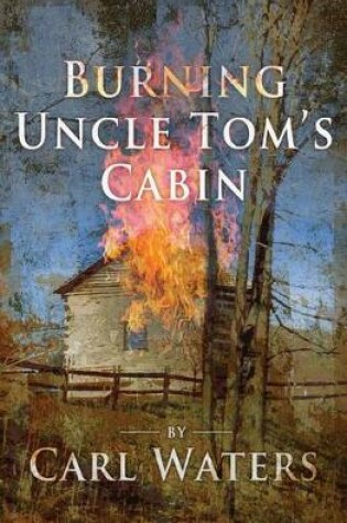 Cover of Burning Uncle Tom's Cabin