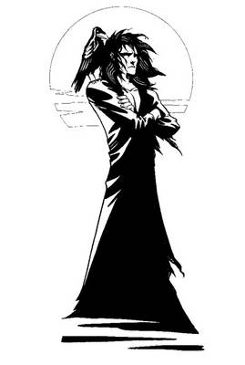 Book cover for Sandman