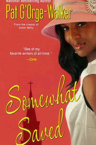 Cover of Somewhat Saved