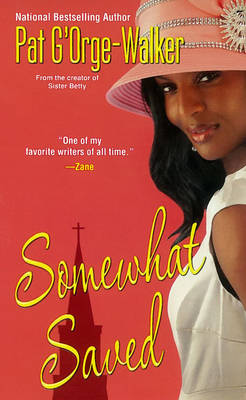 Book cover for Somewhat Saved