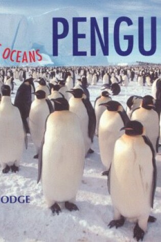 Cover of Penguins ( Animals of the Ocean)