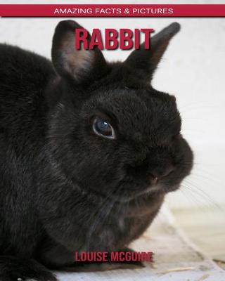 Book cover for Rabbit