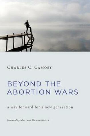 Cover of Beyond the Abortion Wars