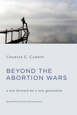 Book cover for Beyond the Abortion Wars