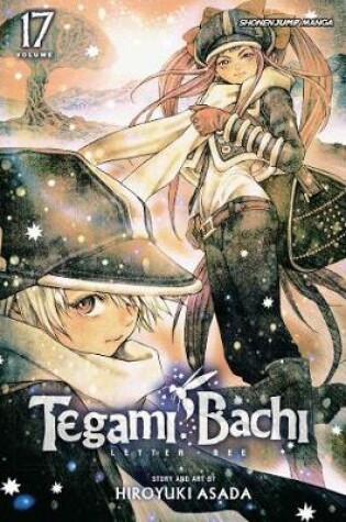 Cover of Tegami Bachi, Vol. 17