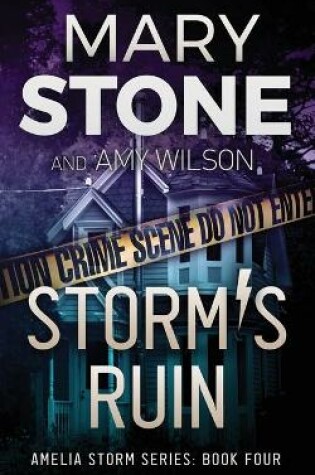 Cover of Storm's Ruin