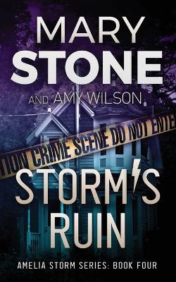 Book cover for Storm's Ruin