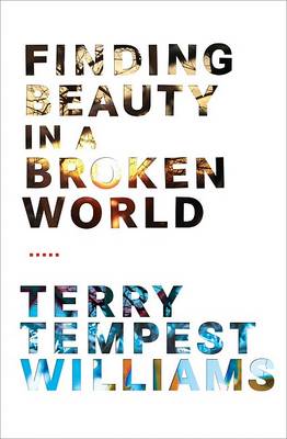 Book cover for Finding Beauty in a Broken World