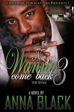 Cover of Now You Wanna Come Back 3