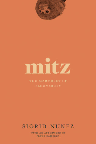 Book cover for Mitz