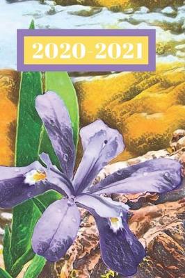 Cover of Purple Wild Flower Iris Dated Calendar Planner 2 years To-Do Lists, Tasks, Notes Appointments for Women