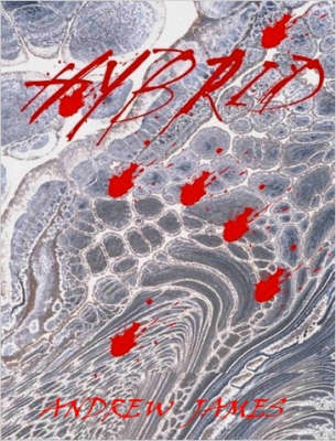 Book cover for The Hybrid