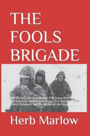 Cover of The Fools Brigade