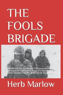 Book cover for The Fools Brigade