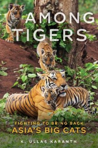 Cover of Among Tigers