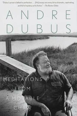 Cover of Meditations from a Movable Chair