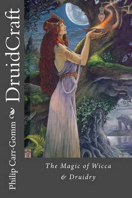 Book cover for DruidCraft