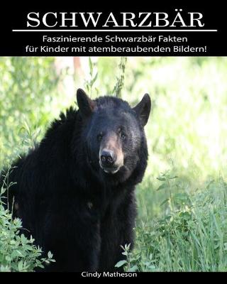 Book cover for Schwarzbar