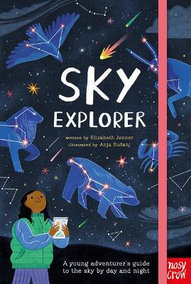 Book cover for Sky Explorer