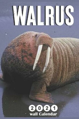 Cover of Walrus wall calendar 2021