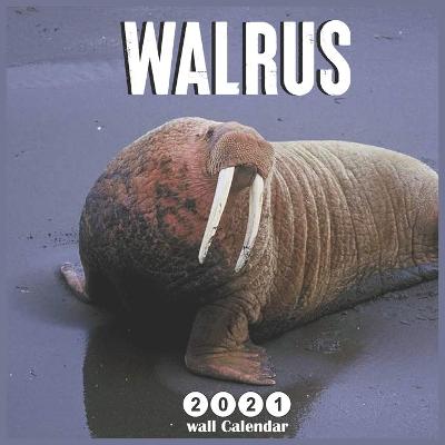 Book cover for Walrus wall calendar 2021