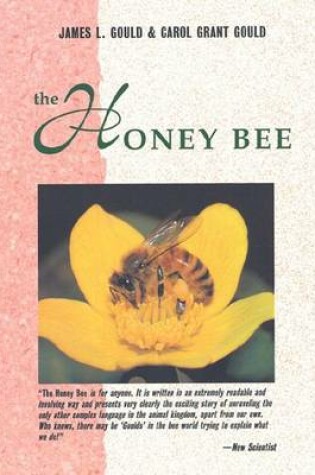 Cover of The Honey Bee