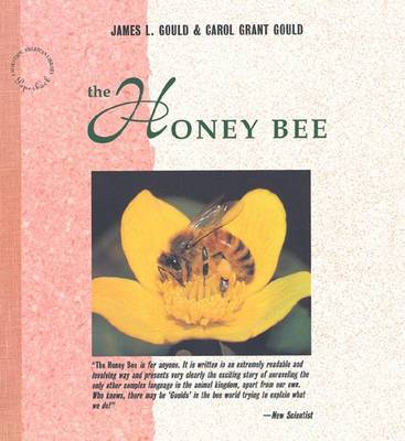 Book cover for The Honey Bee