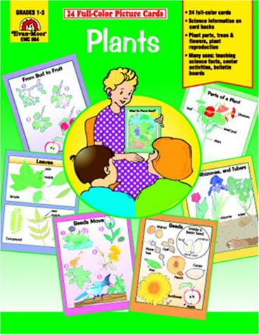 Book cover for Plants /Picture Cards (24 Cards)