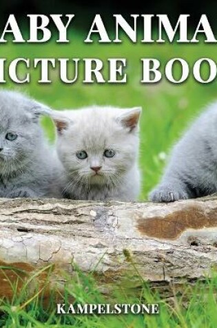 Cover of Baby Animal Picture Book