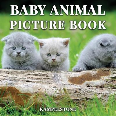 Book cover for Baby Animal Picture Book