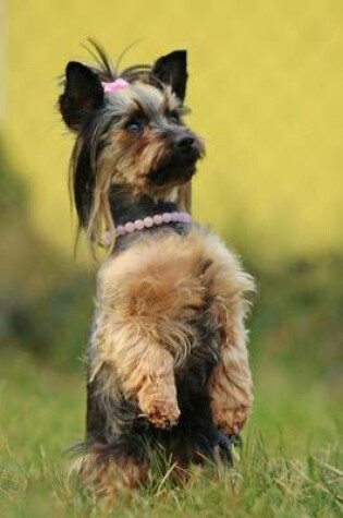 Cover of Yorkshire Terrier Standing on Two Legs, for the Love of Dogs