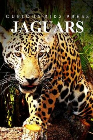 Cover of Jaguars - Curious Kids Press