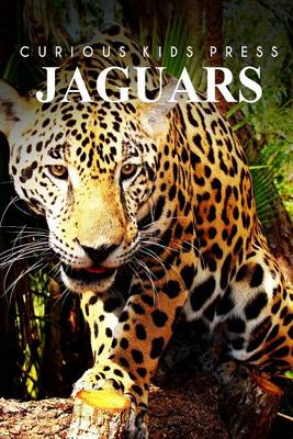 Book cover for Jaguars - Curious Kids Press