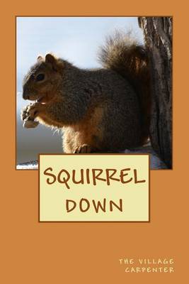 Book cover for Squirrel Down