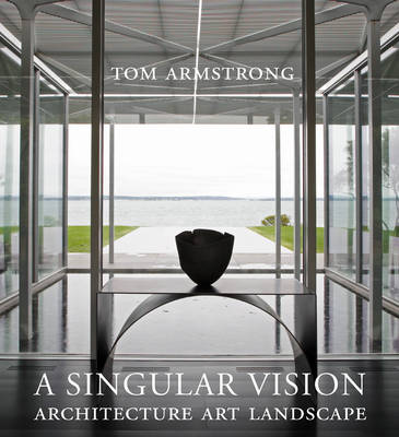 Book cover for A Singular Vision