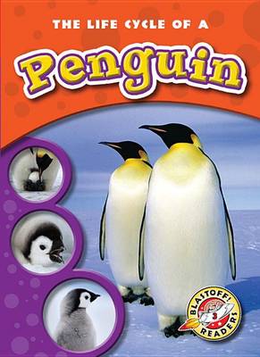 Cover of The Life Cycle of a Penguin